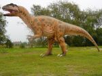 C453-Dinosaur(Allozaur) 300x120x600cm